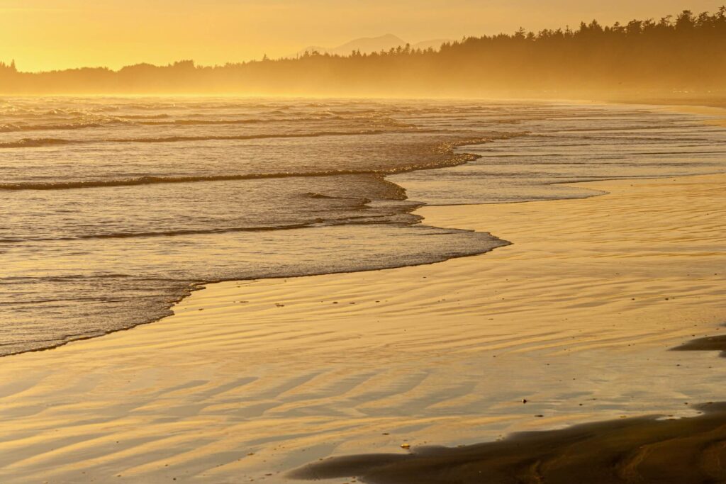 oceans edge