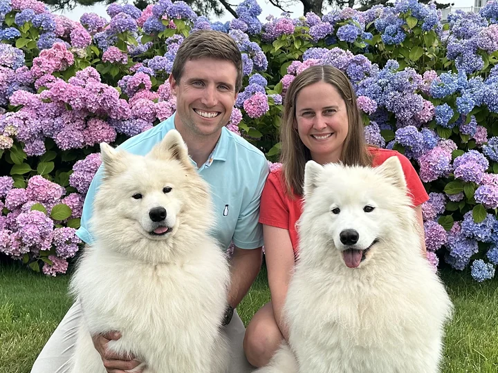 Peter and Maddy with their Samoyeds, Tiki and Goose, in front of blooming hydrangeas
